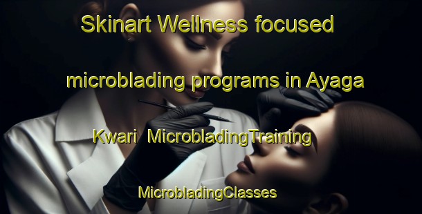 Skinart Wellness-focused microblading programs in Ayaga Kwari | MicrobladingTraining | MicrobladingClasses | SkinartTraining-Nigeria