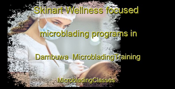 Skinart Wellness-focused microblading programs in Dambuwa | MicrobladingTraining | MicrobladingClasses | SkinartTraining-Nigeria