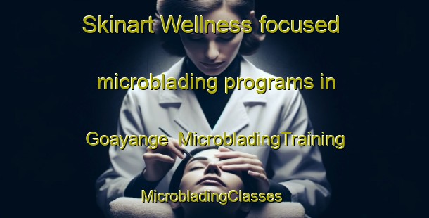 Skinart Wellness-focused microblading programs in Goayange | MicrobladingTraining | MicrobladingClasses | SkinartTraining-Nigeria