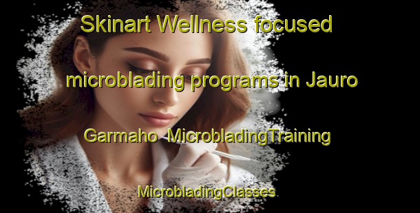 Skinart Wellness-focused microblading programs in Jauro Garmaho | MicrobladingTraining | MicrobladingClasses | SkinartTraining-Nigeria