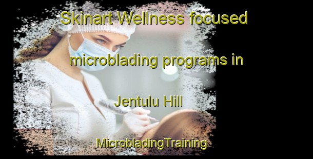 Skinart Wellness-focused microblading programs in Jentulu Hill | MicrobladingTraining | MicrobladingClasses | SkinartTraining-Nigeria