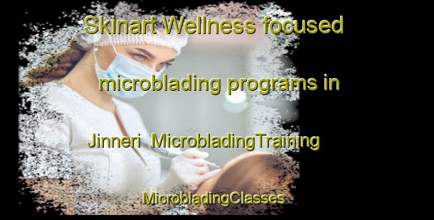 Skinart Wellness-focused microblading programs in Jinneri | MicrobladingTraining | MicrobladingClasses | SkinartTraining-Nigeria