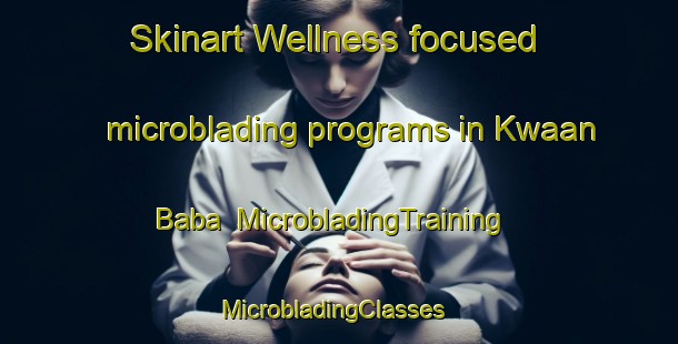 Skinart Wellness-focused microblading programs in Kwaan Baba | MicrobladingTraining | MicrobladingClasses | SkinartTraining-Nigeria