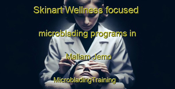 Skinart Wellness-focused microblading programs in Mallam Jemo | MicrobladingTraining | MicrobladingClasses | SkinartTraining-Nigeria
