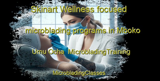 Skinart Wellness-focused microblading programs in Mboko Umu Ocha | MicrobladingTraining | MicrobladingClasses | SkinartTraining-Nigeria