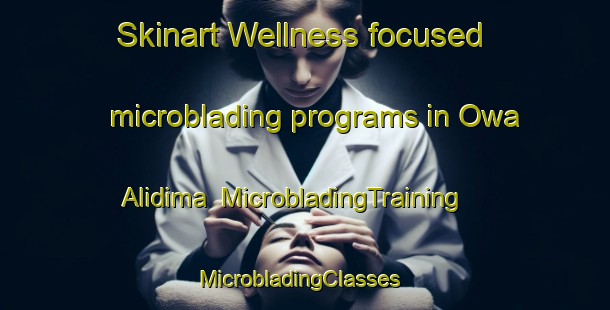 Skinart Wellness-focused microblading programs in Owa Alidima | MicrobladingTraining | MicrobladingClasses | SkinartTraining-Nigeria