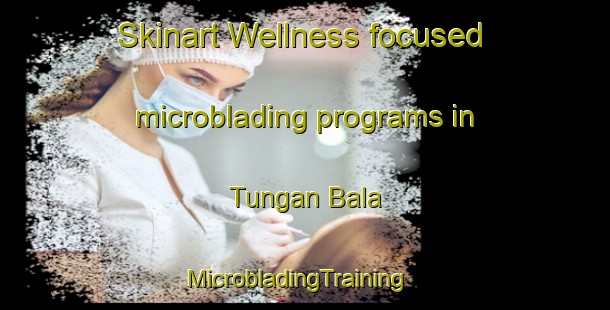 Skinart Wellness-focused microblading programs in Tungan Bala | MicrobladingTraining | MicrobladingClasses | SkinartTraining-Nigeria