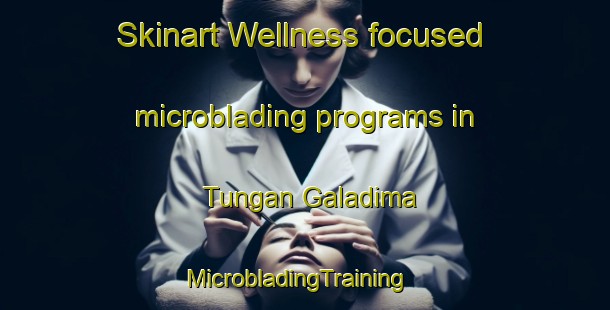 Skinart Wellness-focused microblading programs in Tungan Galadima | MicrobladingTraining | MicrobladingClasses | SkinartTraining-Nigeria