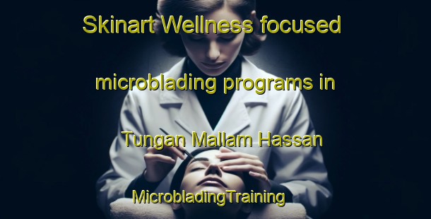 Skinart Wellness-focused microblading programs in Tungan Mallam Hassan | MicrobladingTraining | MicrobladingClasses | SkinartTraining-Nigeria