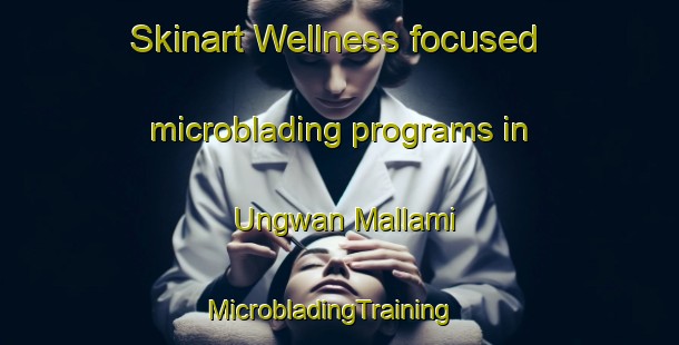 Skinart Wellness-focused microblading programs in Ungwan Mallami | MicrobladingTraining | MicrobladingClasses | SkinartTraining-Nigeria