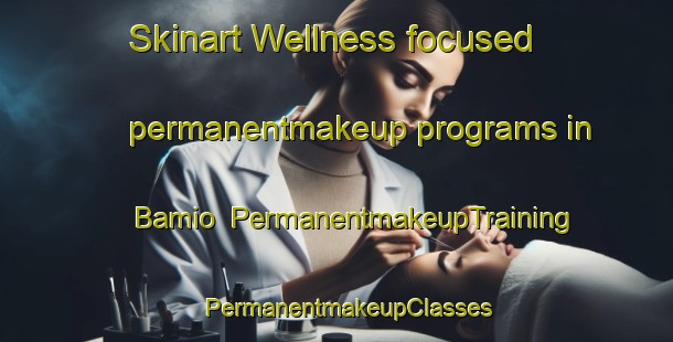 Skinart Wellness-focused permanentmakeup programs in Bamio | PermanentmakeupTraining | PermanentmakeupClasses | SkinartTraining-Nigeria