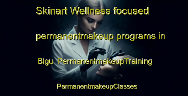 Skinart Wellness-focused permanentmakeup programs in Bigu | PermanentmakeupTraining | PermanentmakeupClasses | SkinartTraining-Nigeria