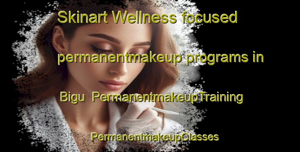 Skinart Wellness-focused permanentmakeup programs in Bigu | PermanentmakeupTraining | PermanentmakeupClasses | SkinartTraining-Nigeria