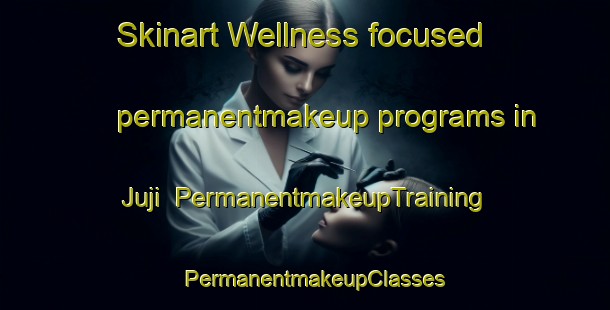 Skinart Wellness-focused permanentmakeup programs in Juji | PermanentmakeupTraining | PermanentmakeupClasses | SkinartTraining-Nigeria