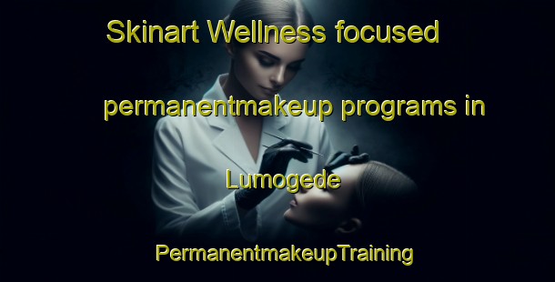Skinart Wellness-focused permanentmakeup programs in Lumogede | PermanentmakeupTraining | PermanentmakeupClasses | SkinartTraining-Nigeria
