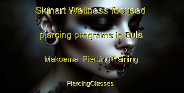 Skinart Wellness-focused piercing programs in Bula Makoama | PiercingTraining | PiercingClasses | SkinartTraining-Nigeria
