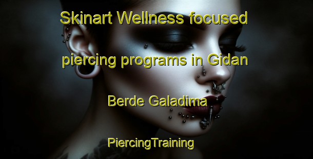 Skinart Wellness-focused piercing programs in Gidan Berde Galadima | PiercingTraining | PiercingClasses | SkinartTraining-Nigeria