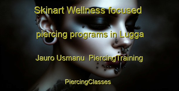 Skinart Wellness-focused piercing programs in Lugga Jauro Usmanu | PiercingTraining | PiercingClasses | SkinartTraining-Nigeria