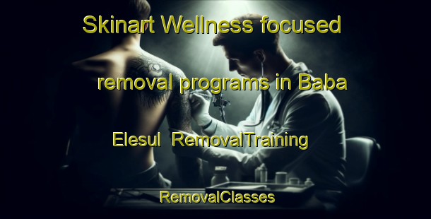 Skinart Wellness-focused removal programs in Baba Elesul | RemovalTraining | RemovalClasses | SkinartTraining-Nigeria