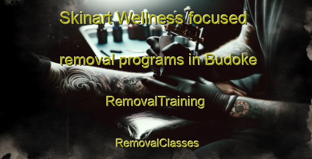 Skinart Wellness-focused removal programs in Budoke | RemovalTraining | RemovalClasses | SkinartTraining-Nigeria