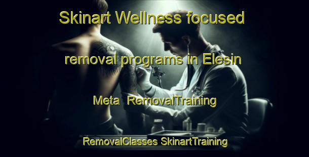 Skinart Wellness-focused removal programs in Elesin Meta | #RemovalTraining #RemovalClasses #SkinartTraining-Nigeria