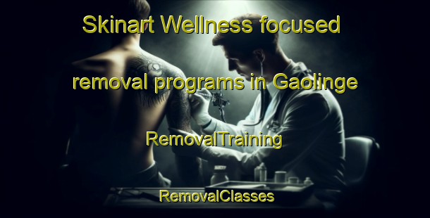 Skinart Wellness-focused removal programs in Gaolinge | RemovalTraining | RemovalClasses | SkinartTraining-Nigeria
