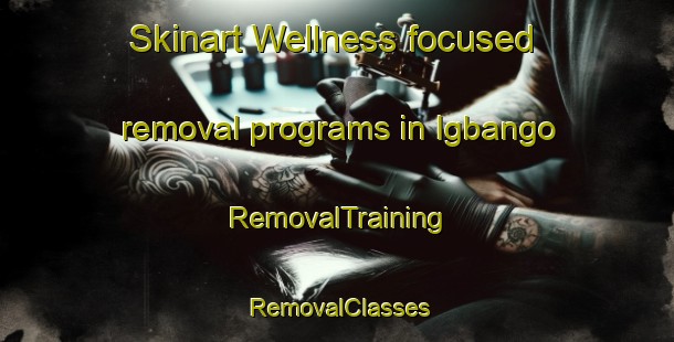 Skinart Wellness-focused removal programs in Igbango | RemovalTraining | RemovalClasses | SkinartTraining-Nigeria