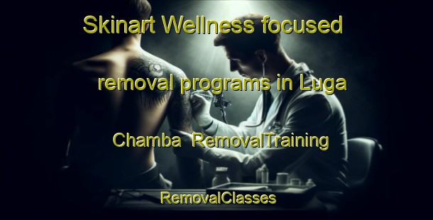 Skinart Wellness-focused removal programs in Luga Chamba | RemovalTraining | RemovalClasses | SkinartTraining-Nigeria