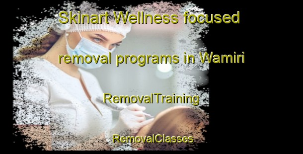 Skinart Wellness-focused removal programs in Wamiri | RemovalTraining | RemovalClasses | SkinartTraining-Nigeria