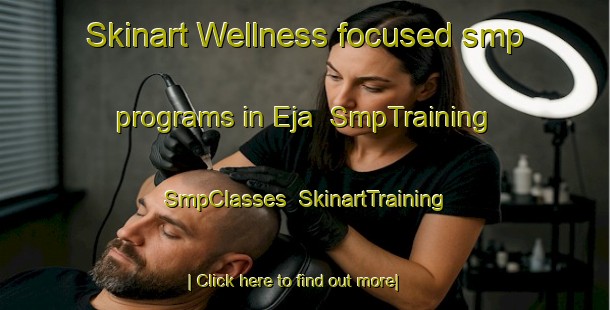 Skinart Wellness-focused smp programs in Eja | SmpTraining | SmpClasses | SkinartTraining-Nigeria