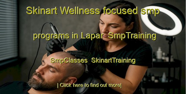 Skinart Wellness-focused smp programs in Lapar | SmpTraining | SmpClasses | SkinartTraining-Nigeria