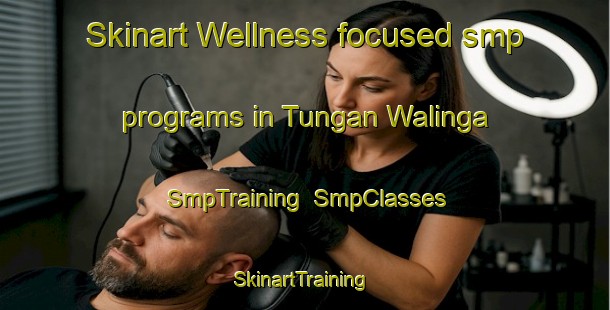 Skinart Wellness-focused smp programs in Tungan Walinga | SmpTraining | SmpClasses | SkinartTraining-Nigeria