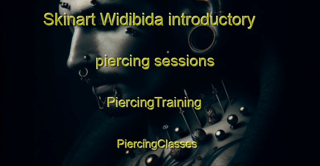 Skinart Widibida introductory piercing sessions | PiercingTraining | PiercingClasses | SkinartTraining-Nigeria