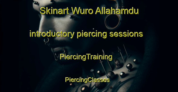 Skinart Wuro Allahamdu introductory piercing sessions | PiercingTraining | PiercingClasses | SkinartTraining-Nigeria