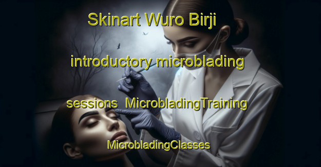 Skinart Wuro Birji introductory microblading sessions | MicrobladingTraining | MicrobladingClasses | SkinartTraining-Nigeria