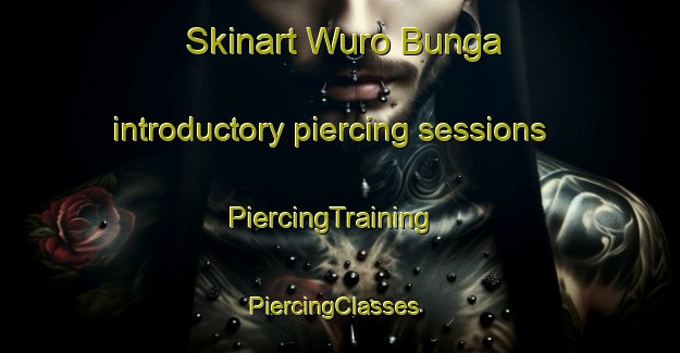 Skinart Wuro Bunga introductory piercing sessions | PiercingTraining | PiercingClasses | SkinartTraining-Nigeria