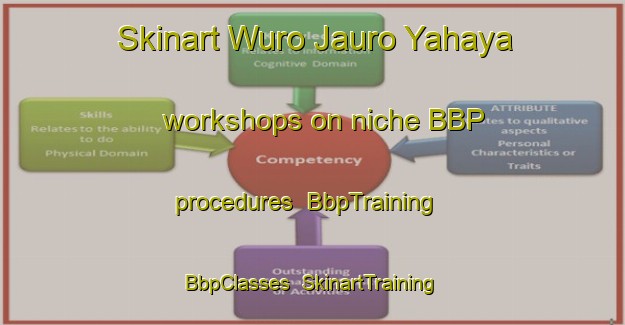 Skinart Wuro Jauro Yahaya workshops on niche BBP procedures | BbpTraining | BbpClasses | SkinartTraining-Nigeria