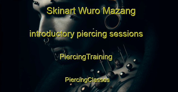 Skinart Wuro Mazang introductory piercing sessions | PiercingTraining | PiercingClasses | SkinartTraining-Nigeria