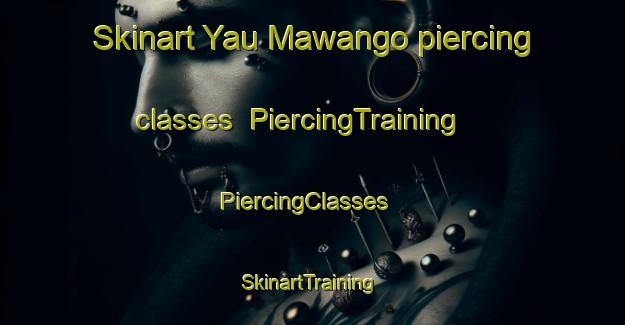 Skinart Yau Mawango piercing classes | PiercingTraining | PiercingClasses | SkinartTraining-Nigeria