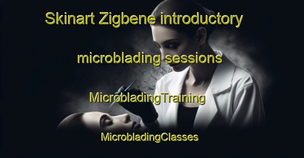 Skinart Zigbene introductory microblading sessions | MicrobladingTraining | MicrobladingClasses | SkinartTraining-Nigeria
